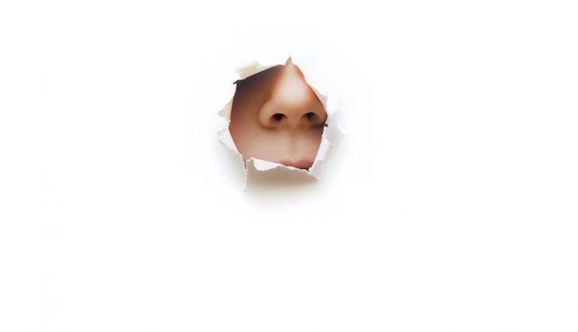 Shutterstock / Shchus