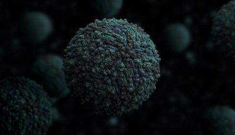 ¿Un fármaco antiviral producido por el cuerpo? / EFE