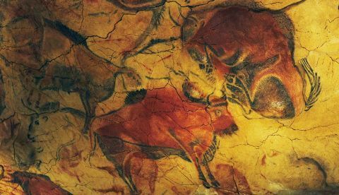 Descubierta en la Cueva de Altamira una nueva especie de colémbolo