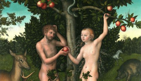 El Árbol del Conocimiento, pintado por Lucas Cranach el Viejo. / Dominio público.