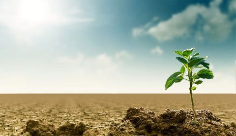 Científicos: “Las medidas de adaptación al cambio climático no son suficientes”
