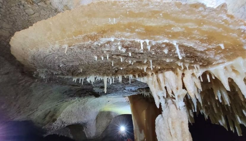 Disco o escudo de grandes dimensiones en la Cueva de las Estegamitas (La Araña, Málaga) Author provided