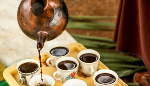 Fotografía facilitada por el Real Jardín Botánico de Kew de Londres, que ha revelado hoy la investigación "Science Advances" y "Global Change Biology" con la que pone de manifiesto que el 60 % de las especies de café silvestre del mundo están en peligro de extinción a causa del cambio climático, la deforestación y el aumento de los hongos patógenos y las plagas. EFE