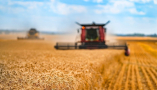 Luis Planas defiende que la sanidad vegetal protege nuestros cultivos frente a nuevas plagas y es clave para la competitividad del sector