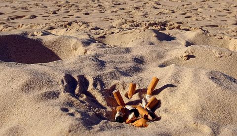 Un problema sin fin, cada minuto 8 millones de colillas acaban en la naturaleza