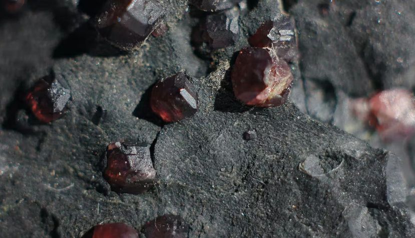  Cristales de granate unidos a su roca anfitriona. Shutterstock / anne-tipodees