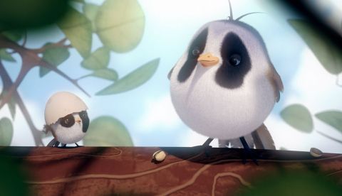 Thinkwild Studios, una pequeña empresa madrileña de contenidos digitales, ha logrado "colar" en los Goya su primera producción animada de ficción, "Vuela", un cortometraje de quince minutos de duración en el que han volcado, con toda ternura, una historia de superación y amistad.