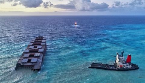 Hallan 18 delfines y marsopas muertos en Mauricio tras el derrame de petróleo EFE/EPA/REUBEN PILLAY/Archivo