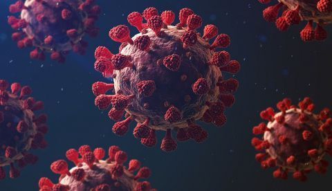 COVID-19: Recorrido por un virus “extraordinariamente original”