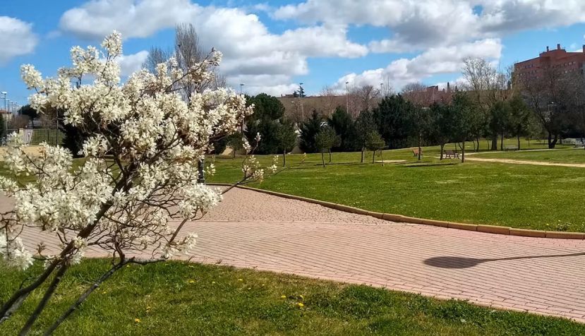 Parque de Huerta Otea (Salamanca) Sergio Fuentes Antón, Author provided