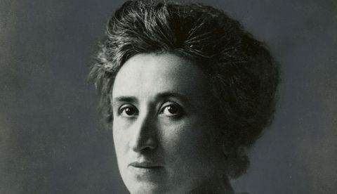 Rosa Luxemburgo / Wikipedia
