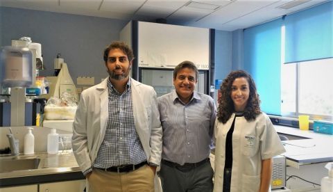 Los endocrinólogos del CIBEROBN José Carlos Fernández García, María Molina Vega y Francisco Tinahones que han dirigido la investigación. Imagen cedida por CIBEROBN. EFE/CIBEROBN 	   