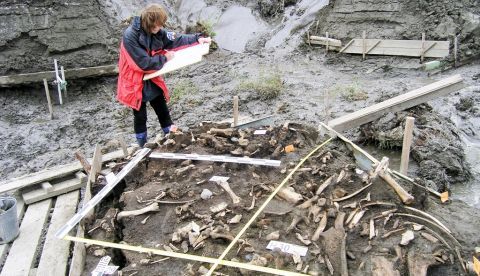Dos dientes de leche infantiles encontrados en un remoto enclave arqueológico en el noreste de Siberia han servido para identificar a un grupo humano desconocido. EFE/Foto cedida 	   