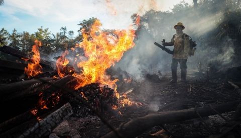 Tan solo el 30 de julio fueron contabilizados 1.007 focos en la selva amazónica, lo que supone el mayor número para el mes en los últimos 15 años. EFE/Fernando Bizerra Jr.