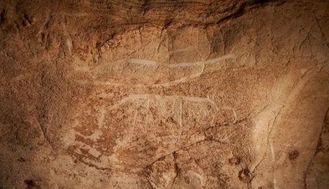 Descubren un centenar de grabados prehistóricos en la Cueva de la Vila en Tarragona