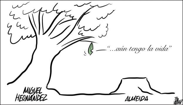 “Hernández, a Almeida”