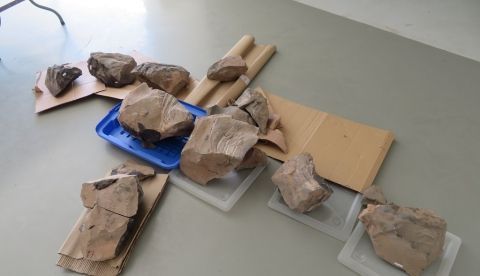 Fotografía cedida por la Universidad de Chile que muestra algunos de los hallazgos de una investigación en el desierto de Atacama, concretamente en la cuenca del río Loa, a unos 20 kilómetros al oeste de Calama (Chile). EFE/Universidad de Chile