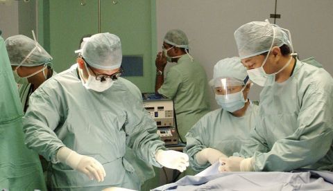 Un equipo del Instituto por la Frontera Vital y las Ciencias Médicas de la Universidad de Kioto (Japón) ha realizado averiguaciones significativas sobre cómo se comportan las células para modelar tejidos, tensarlos y ampliarlos, lo que facilitaría el camino a la creación mecánica de órganos completos. EFE/Archivo 