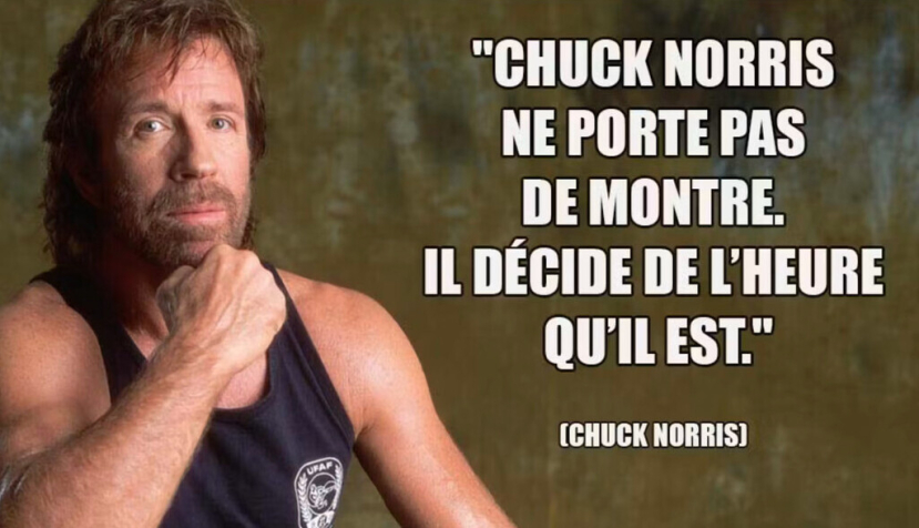 Un "Dato sobre Chuck Norris", entre miles más. Captura de pantalla/Cuenta X de @agylon57.