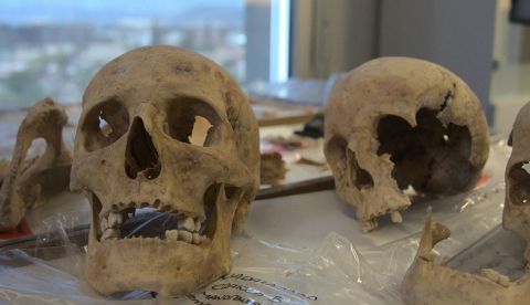 La investigación sobre el origen de Colón afronta la recta final con el estudio de su ADN