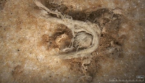 Su descubrimiento se ubica en el yacimiento Abri du Maras, cerca del río Ardèche, en el sureste de Francia, donde se han llevado a cabo excavaciones desde 2006. EFE/Foto cedida