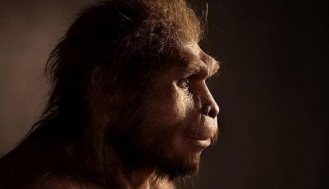 Los fósiles de Homo sapiens hallados en la “cuna de la Humanidad” son aún más antiguos de lo que se creía
