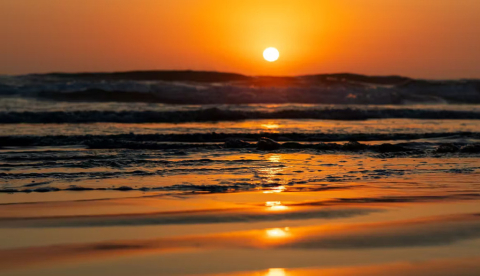 David Soraci/Shutterstock