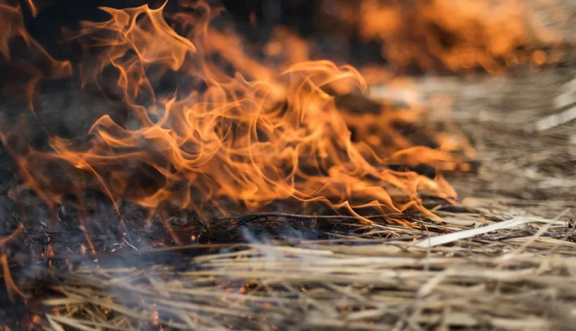 2025 fue la temporada de incendios forestales más destructiva registrada en la UE