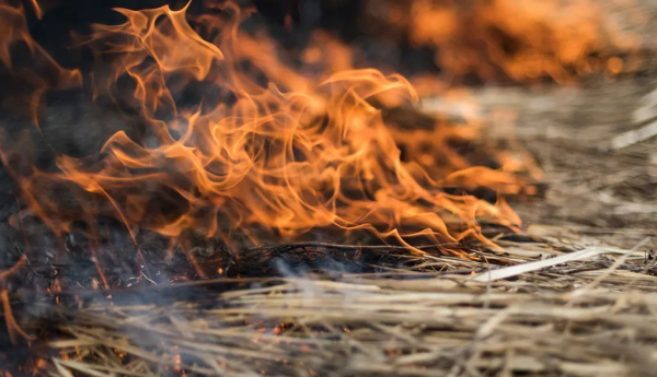 2025 fue la temporada de incendios forestales más destructiva registrada en la UE