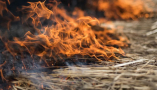 2025 fue la temporada de incendios forestales más destructiva registrada en la UE