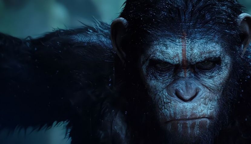 ¿Cuánto de azar tiene la evolución?