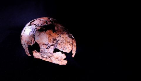 Puesto que Homo erectus es uno de nuestros ancestros directos, este descubrimiento tiene implicaciones en el origen de los humanos modernos. EFE/Therese van Wyk/ Universidad de Johanesburgo