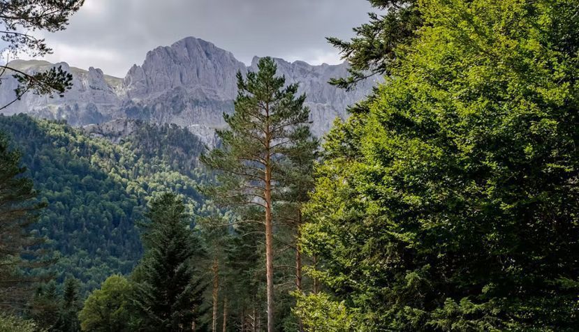 Parque Natural de los Valles Occidentales, en el Pirineo aragonés (Huesca, España). Jessicahyde / Shutterstock