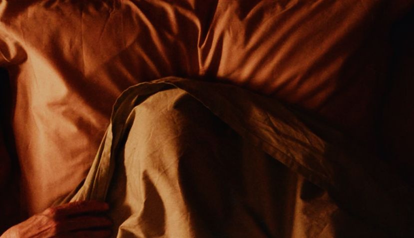 Gaspar Noé: “Hay películas que son de cinéfilos y películas que son más películas del ser humano”