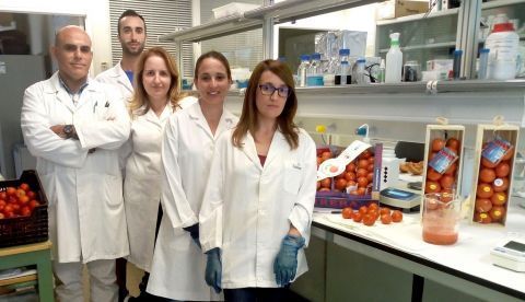 Una variedad valenciana de tomate especialmente reconocida por su sabor y escasa acidez, la "Tomaca de Penjar d'Alcalà de Xivert", mejorará su resistencia al virus del mosaico del tomate gracias a la huella genética que han obtenido de ella investigadores de la Universitat Politècnica de València. En la imagen, el equipo de investigadores (de izqda a dcha), Salvador Soler, Ángel Rodríguez, María Figás, Elena Soler y Cristina Casanova. EFE/Universitat Politècnica de València
