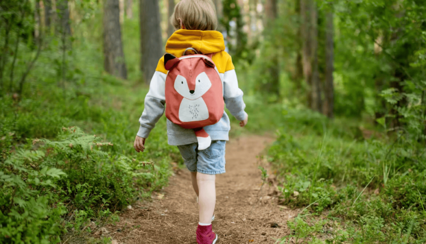  Niño caminando en la naturaleza. MNStudio/Shutterstock