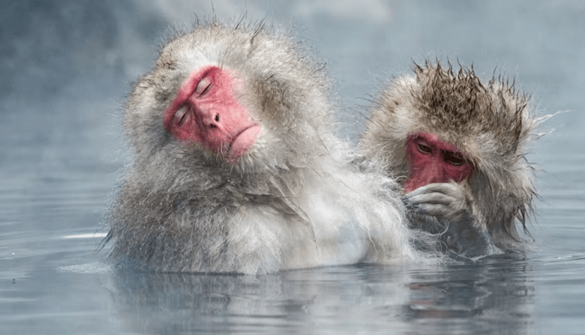 CW Pix/Shutterstock
