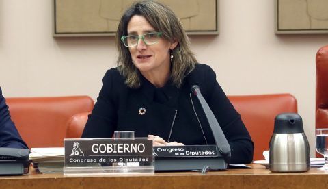 La ministra de Transición Ecológica y Reto Demográfico y vicepresidenta cuarta, Teresa Riberan. EFE/J.J. Guillén