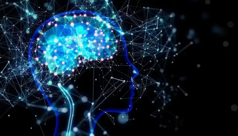 ¿Qué es la Neurosociología?: Cuando mente y sociedad van de la mano