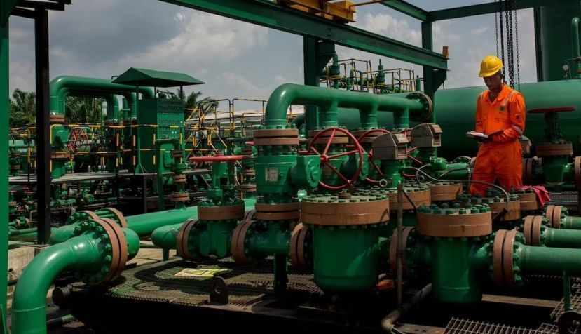 Instalaciones de la Compañía Nacional de Petróleo de Nigeria. Ikechi Ugwoeje / Shutterstock