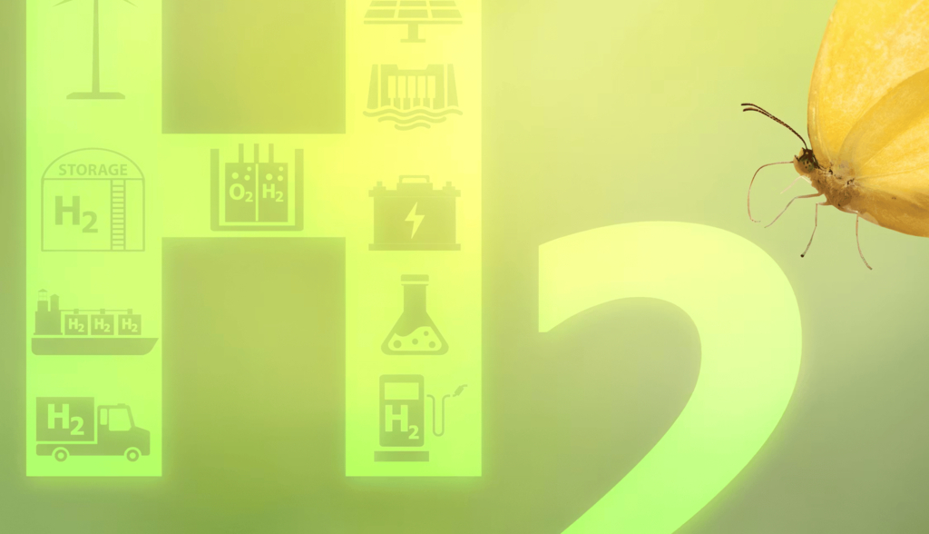 Biohidrógeno: un combustible clave para América Latina y la transición energética global