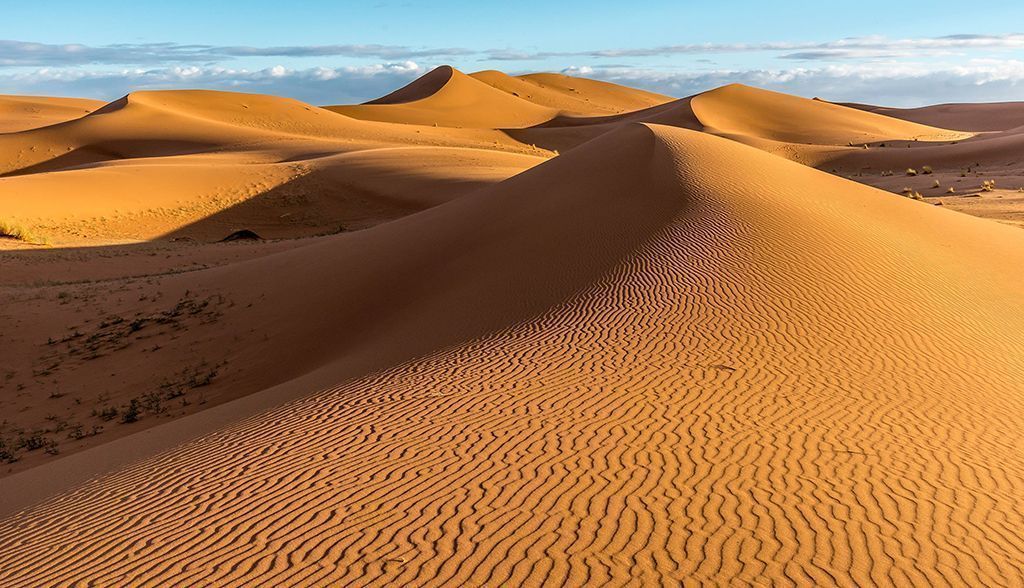 ¿Deberíamos convertir el desierto del Sahara en una inmensa planta solar?