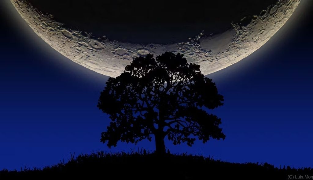 La influencia de la Luna en las plantas: un bulo similar al terraplanismo