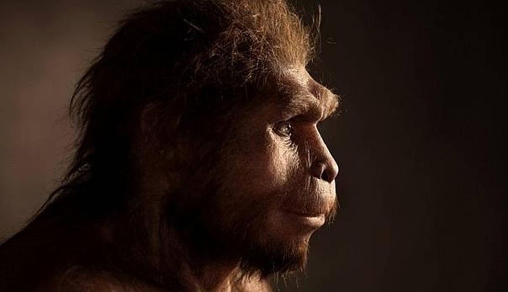 La llegada de Homo sapiens al norte de Europa sucedió hace 45 000 años, según nuevos hallazgos