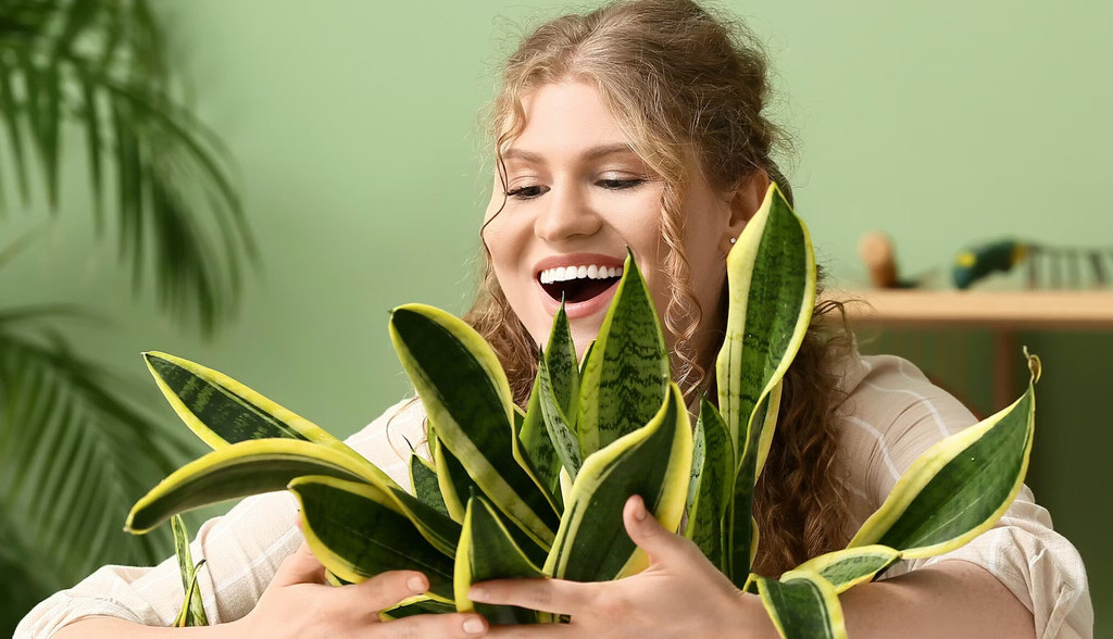 Por qué hablar a las plantas las hace crecer más sanas