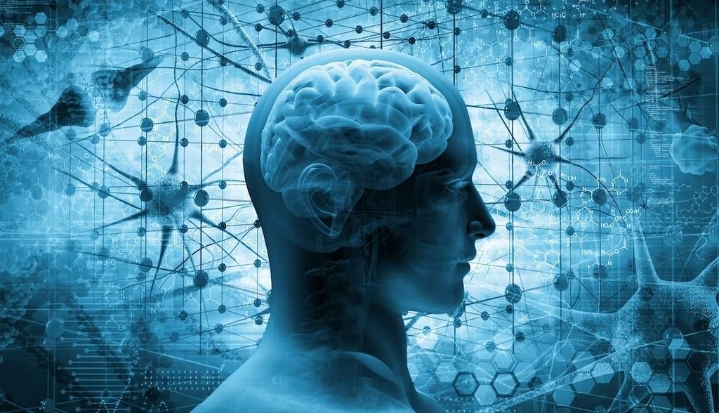 Últimas noticias sobre la consciencia humana, el gran misterio de la ciencia