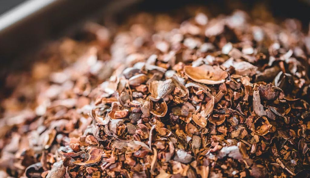 Cascarilla de cacao, de residuo de la industria chocolatera a materia prima para la obtención de bioplásticos
