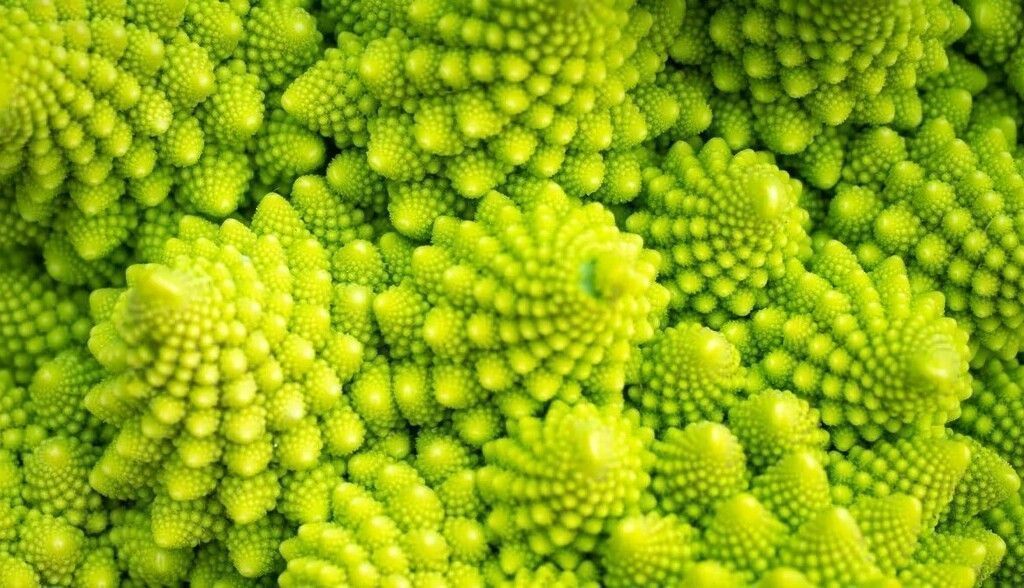 Los fractales son mucho más que una coliflor