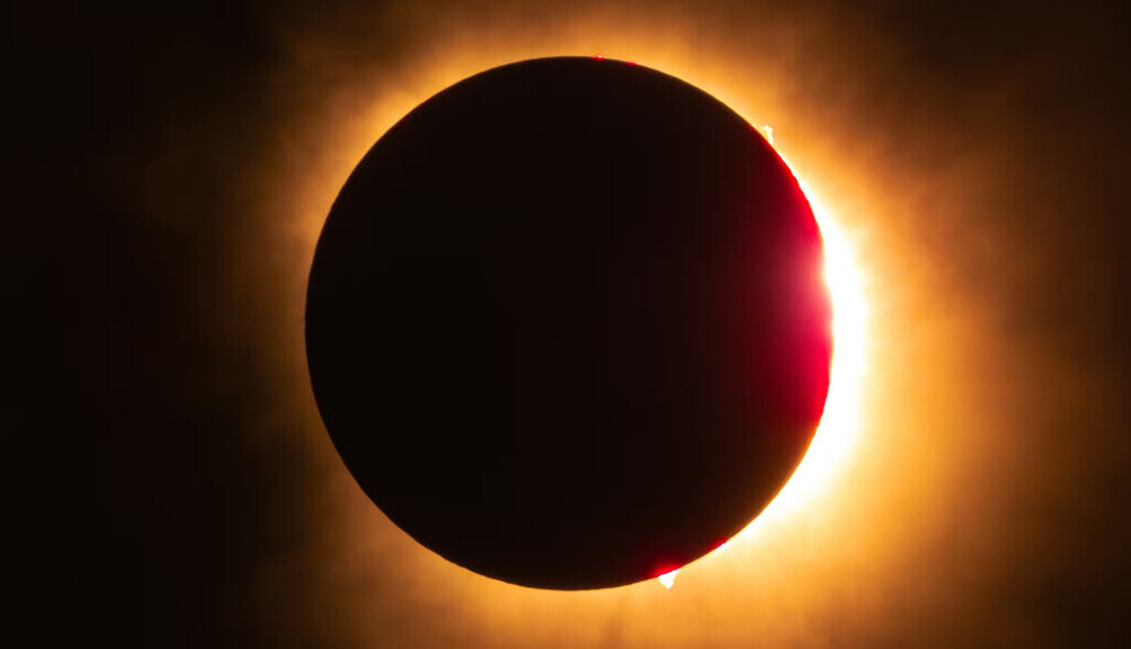 Eclipse solar: lo que les ocurre a las bacterias cuando el Sol desaparece