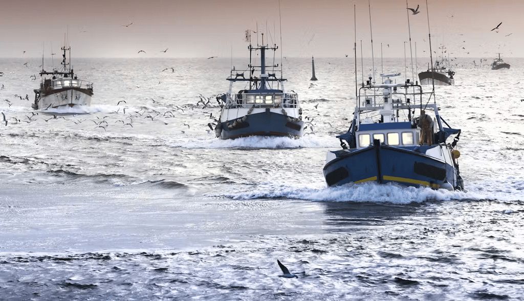 La pesca mundial frente al cambio climático: un éxodo hacia los polos